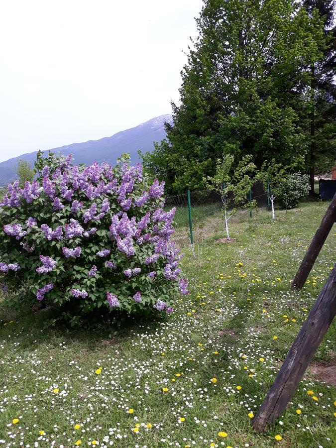 Apartment Gradina Korenica Buitenkant foto